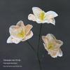 3D Flip Silk Tulip Wedding Decoration & Floral Art Background