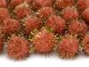 Plush Shiny Pompoms, Orange, 1 Pack