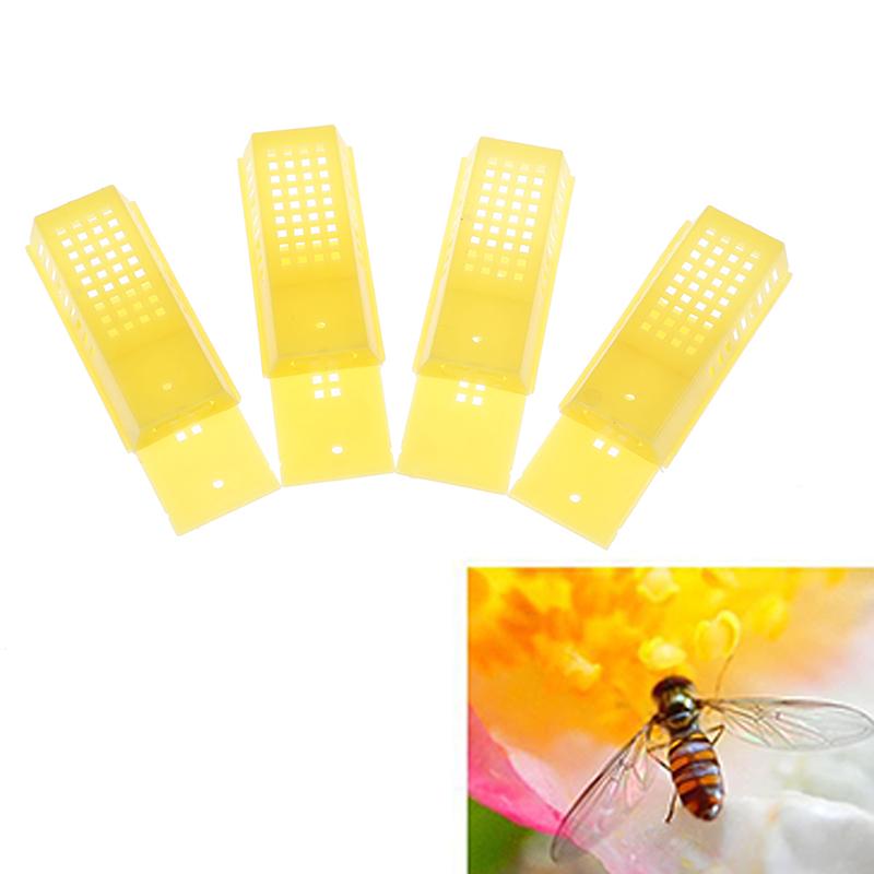 4pcs Bee Cage Beehive Honey Beekeeping Queen Cage Beekeeping Tool Fg