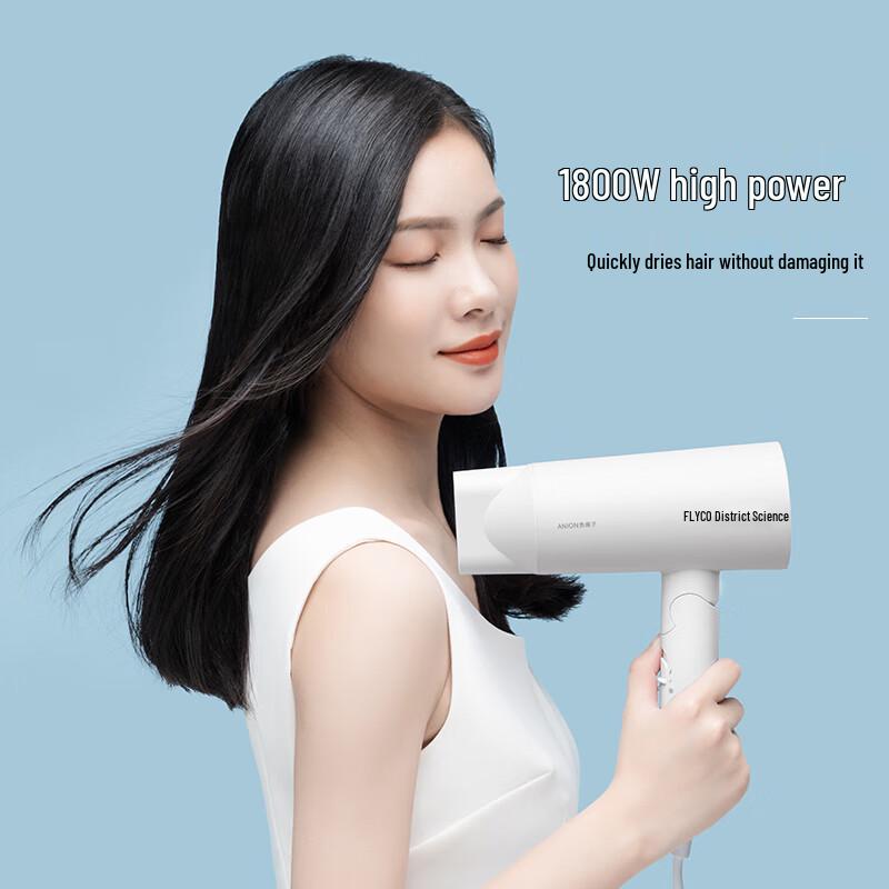 FLYCO High-Power Hair Dryer