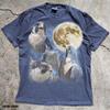 Wanderfalke Drei Vögel Vollmond T-Shirt, Kosmisches Tier Grafik-T-Shirt