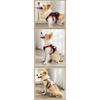 Durable Pet Dog Vest Harness Explosion-proof Big Dogs Harnesses Reflective French Bulldog Collar Shepherd Dogs Walking Supplies