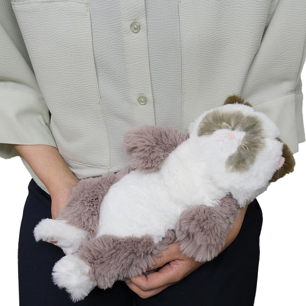 Sun Lemon Sleeping Lap Small Ragdoll 15 X 12 X Plush Cute Cat, GYBR, 34cm, Animal, Cat, P-1583