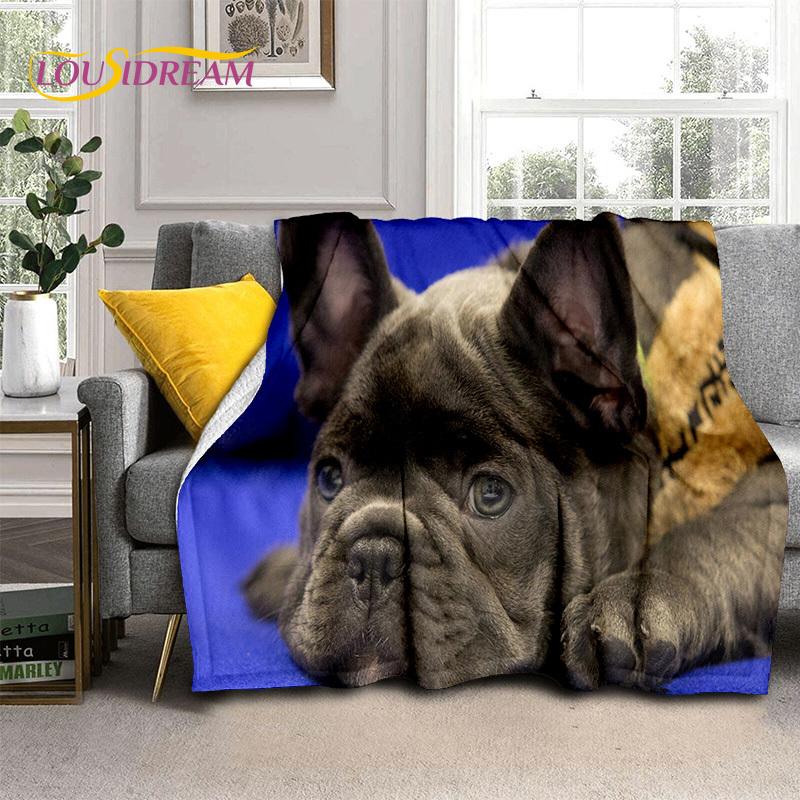 Cartoon French Pit Bull Dog Pet 3D Blanket,Soft Throw Blanket for Home Bedroom Bed Sofa Picnic Travel Office Cover Blanket Kids