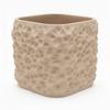 Beige Decorative Pot for Plants, Organic Structure