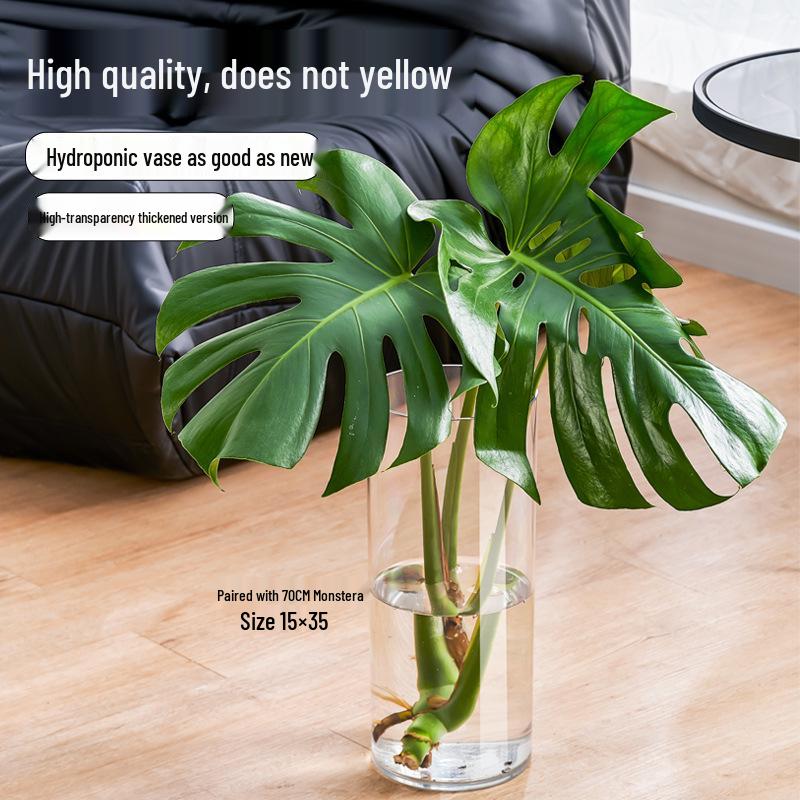Acrylic Anti-Drop Transparent Vase for Lucky Bamboo Flower Arrangement – High-End Light Luxury Design