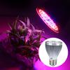 60W 60LED žárovka s plným spektrem pro pěstování rostlin pro hydroponické pěstování rostlin