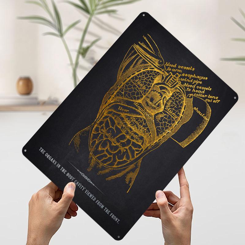 Internal Organs Anatomy Tin Plaque Poster Customized Wall Art Retro Vintage Metal Signs for Man Cave Room Decor Men Coffee Bar