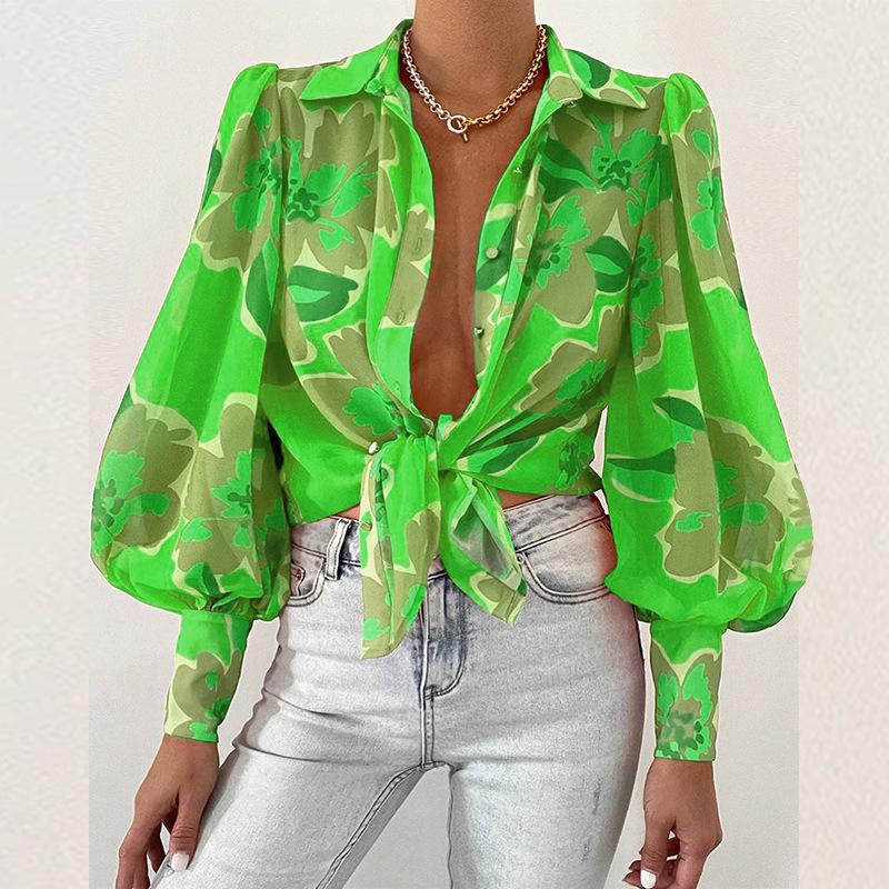 Chemise Fille Healthtex Taille 4T - Manches Bouffantes, Motif Floral Dentelle Verte - Occasion Très Bon état