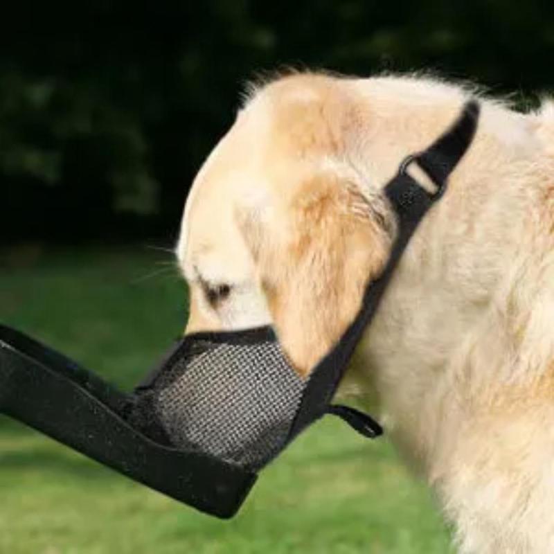 Dog Muzzle Soft Mesh Padded Adjustable Anti-Biting Barking Pet Mouth Cover for Small Puppies Walking Grooming Vet Visit