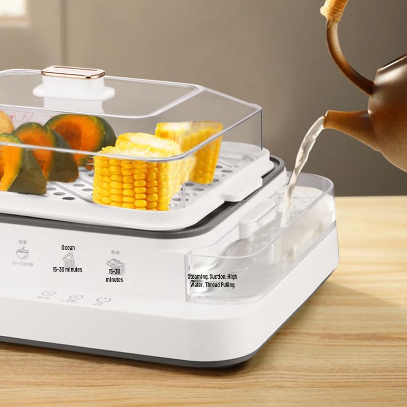 Royalstar Side-Fill Electric Steamer