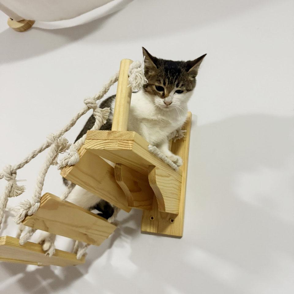 Cat Solid Wooden Suspension Bridge Wall Mounted Sisal Cat Climbing Ladder Treads For Cats to Move and Play