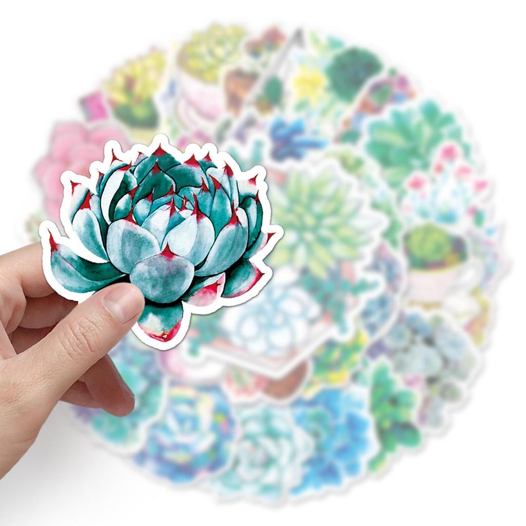 50 Waterproof Cartoon Succulent & Flower Stickers for Journaling, Notebooks, Suitcases