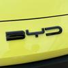 BYD Seagull Logo z przodu Logo z literami Włókno węglowe BYD Jasna czarna ozdobna naszywka Zmieniony kolor