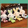 Soft Plush Bunny Toy Mini Rabbit Doll Keychain Baby Shower Gifts 20 Cm