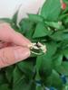Korean Style Open Leaf Pinky Ring for Women