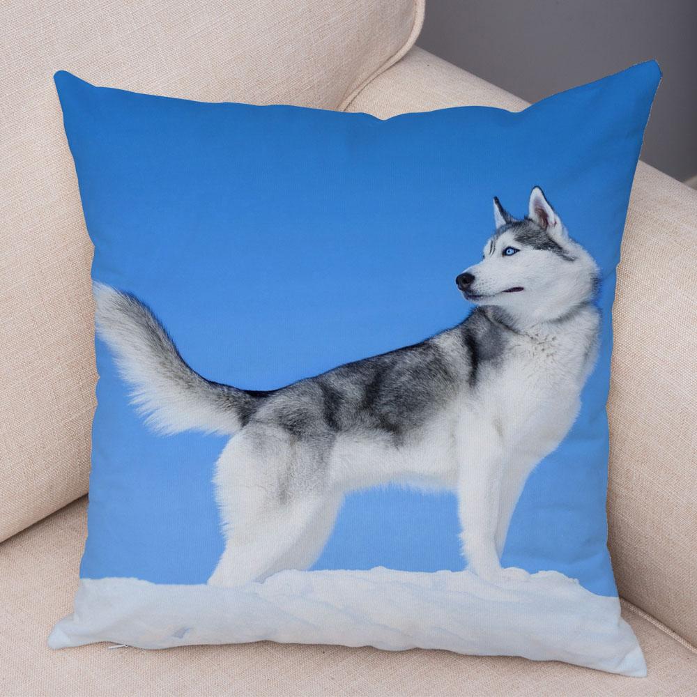 

Decor Cute Siberian Husky Pillowcase Pet Dog Printed Super Soft Short Plush Pillow Case 45*45cm Animal Cushion Cover for Sofa 16x16in 40x40cm