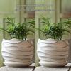 Elegant White Ceramic Flower Pot with Tray - Ideal for Ivy, Spider Plants, and Succulents