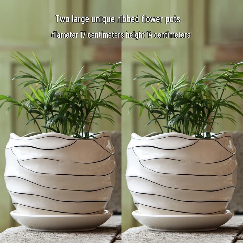 Elegant White Ceramic Flower Pot with Tray - Ideal for Ivy, Spider Plants, and Succulents