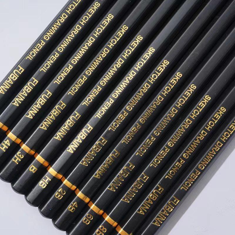 Professionelles Zeichen- und Skizzierstifte-Set, 12-teilig, Kunststifte, Graphit-Schattierungsstifte für Anfänger und Profi-Künstler