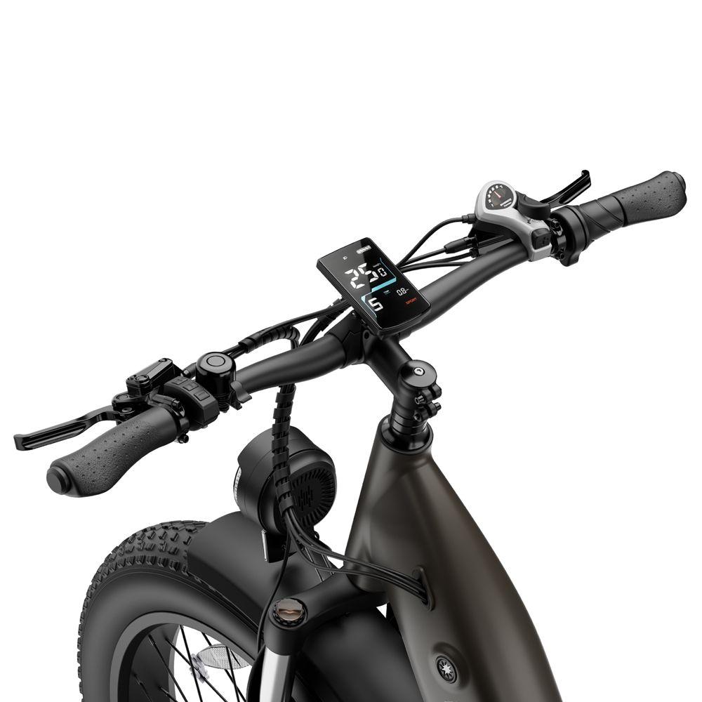 Bicicleta Elétrica Fafrees F26 Rover Motor 250W Pneu Gordo 26" Bicicleta Elétrica para Adultos Todo o Terreno 48V 20Ah Freio a Disco Hidráulico 7 Velocidades Carga Máxima 150Kg