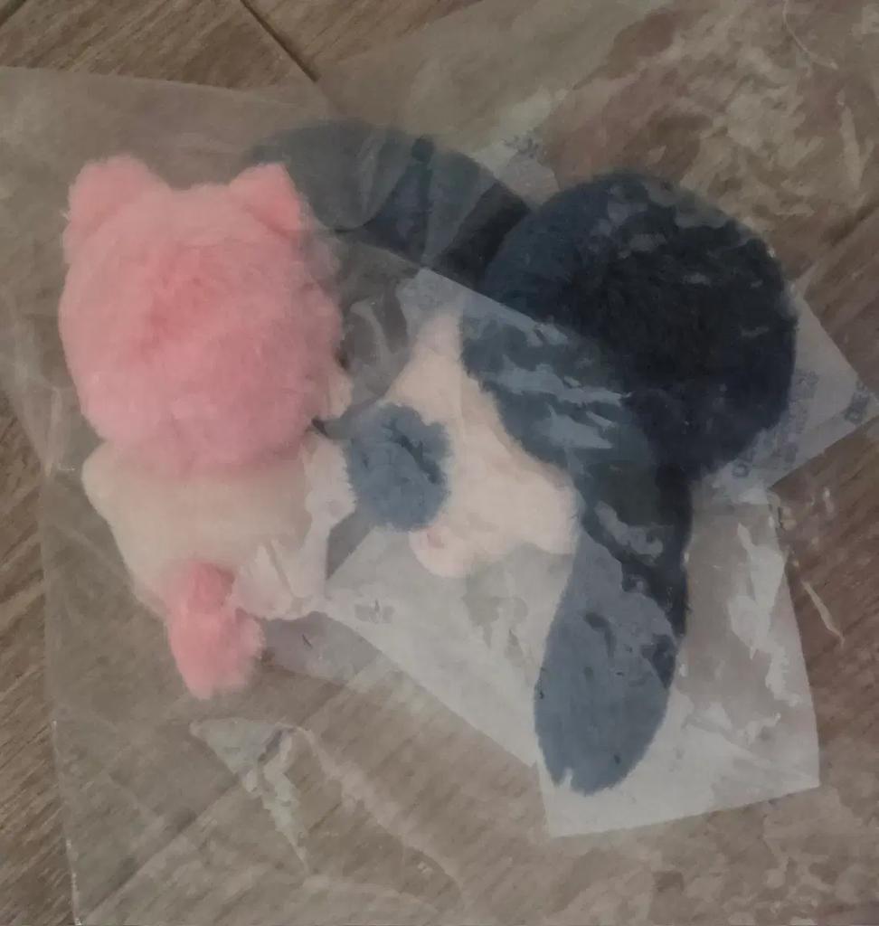 PLAVE 5cm Doll Gangan Spare Paul Bambi Below Cost