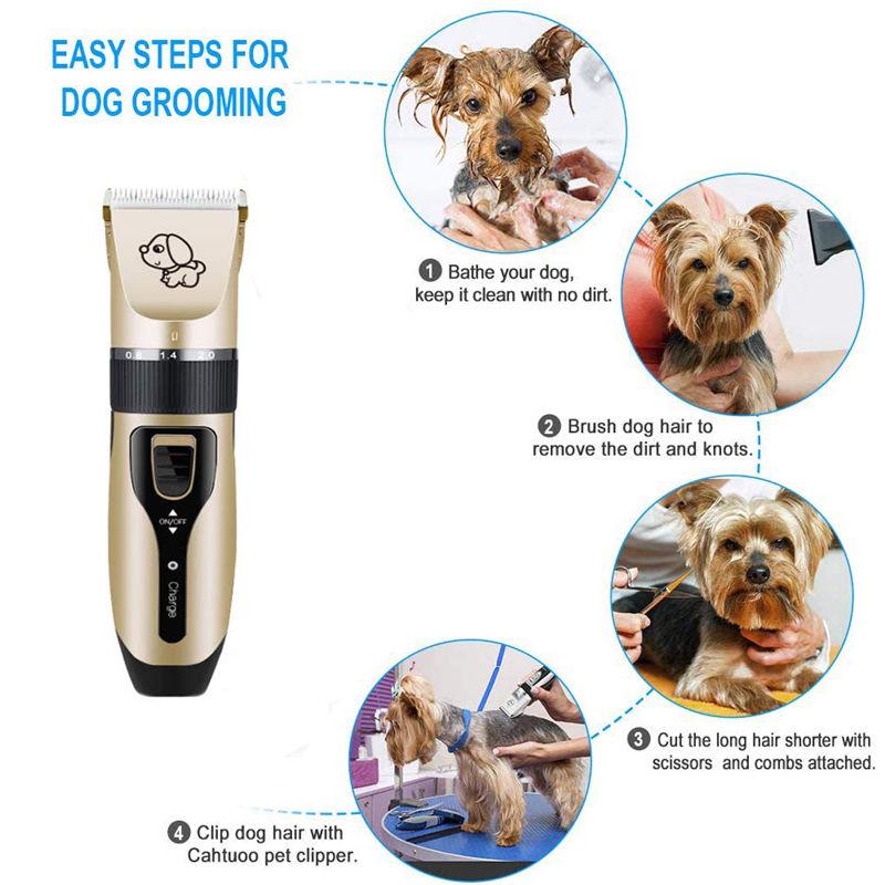 clippers to shave dog