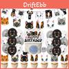 Cat Hanging Decorations Set Of 6 Add A Playful Touch To Your Birthday Decor!