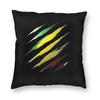 Republic Of Congo Flag Square Pillow Case Throw Pillow Congolese Awesome Cushion Covers