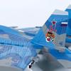 1/100 Scale Russian Navy Su-33 Fighter Alloy Model Airplane Collectible