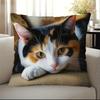 Decorative Pillowcase 45x45 Cm, 1 Pc.