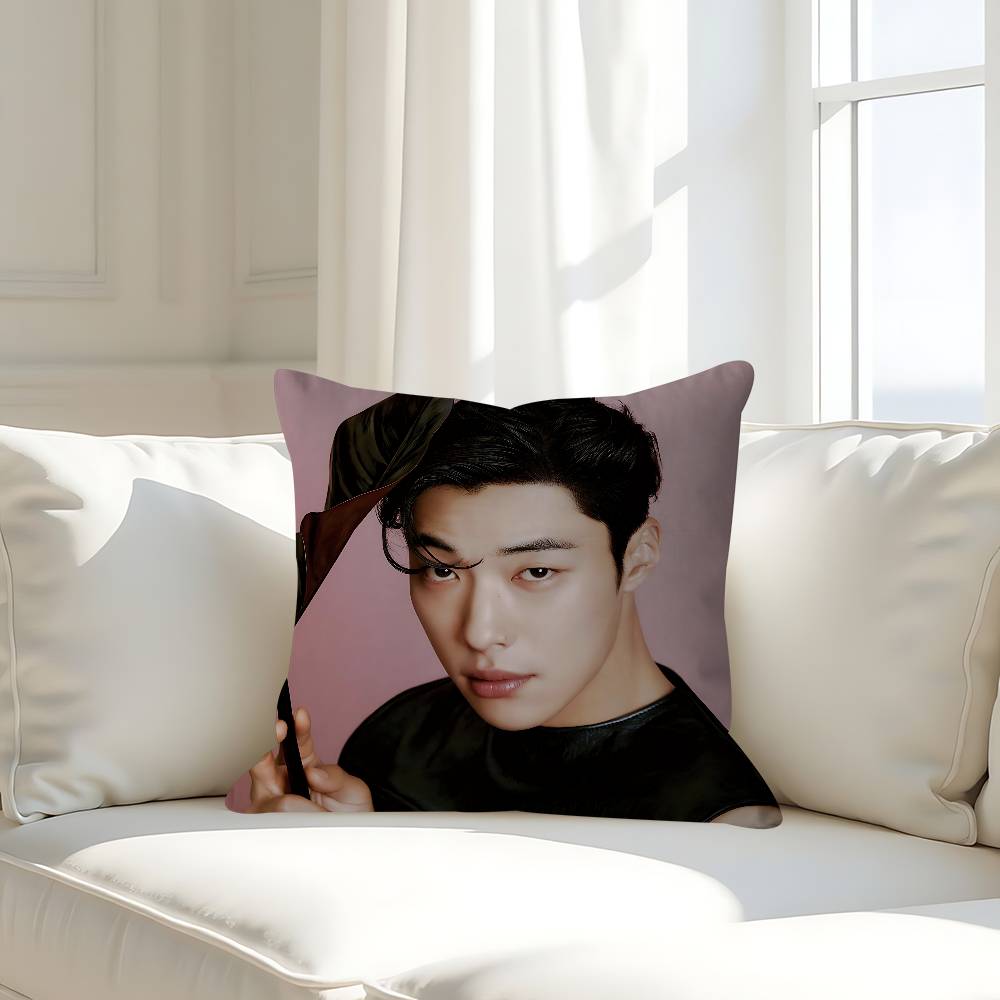 

Actor W-Woo Do-hwan Personalized Pillow Dust Cover Bedroom Kids Party Decoration Pillowcase Birthday Children Gift 16x16Inch