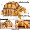 European & Indian Star Tortoise Simulation Toy for Car Decoration
