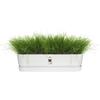 ELHO Jardinière ovale GREENVILLE - Plastique recyclé - Ø70 x H 18,48 cm - Leaf Green