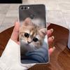 Jelly Casing For Huawei Y9 2018 / Enjoy 8 Plus Fundas Capa Clear Silicone Soft TPU Back Cover Cute Cat Rabbit Protective Case