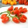 Lifelike Fake Small Tomato Soft Plastic Simulation Fruit Bunch Tomato Model  Party Decoration