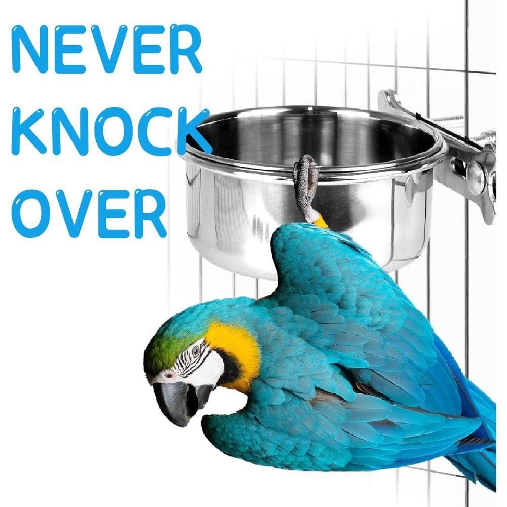 Stainless Steel Bird Bowls with Clamp Holder Parrot Food Bowl Parakeet Feeder  Wild Bird