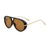 KAJILA 2025 New Men's Double Bridge Toad Aviator Sunglasses - Outdoor UV Protection