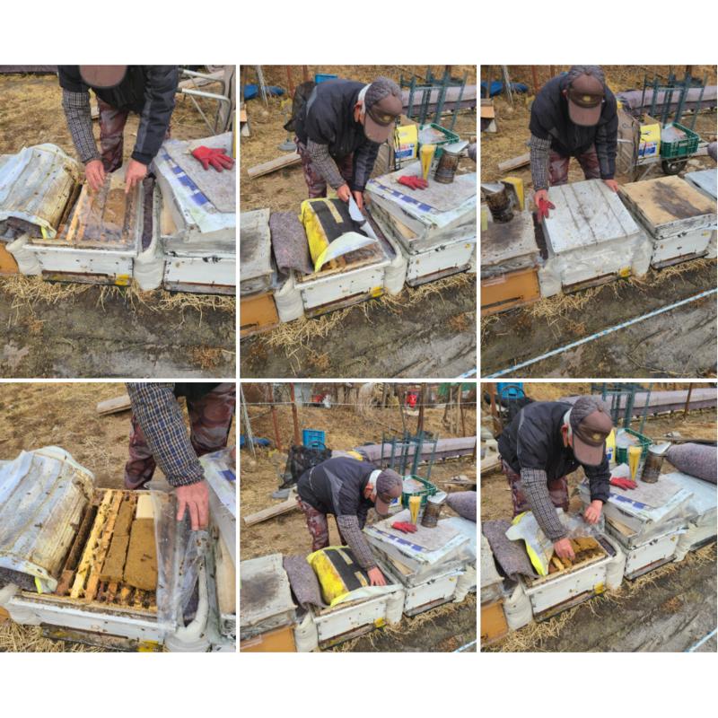 Sobaek Agricultural Corporation Rýžový koláč do květináčů Korejské včelařství Krmivo pro včely Krmivo pro včely 1kg, 1kg, 1 kus