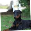 Support Foam Rod for Corgi And Doberman Ears