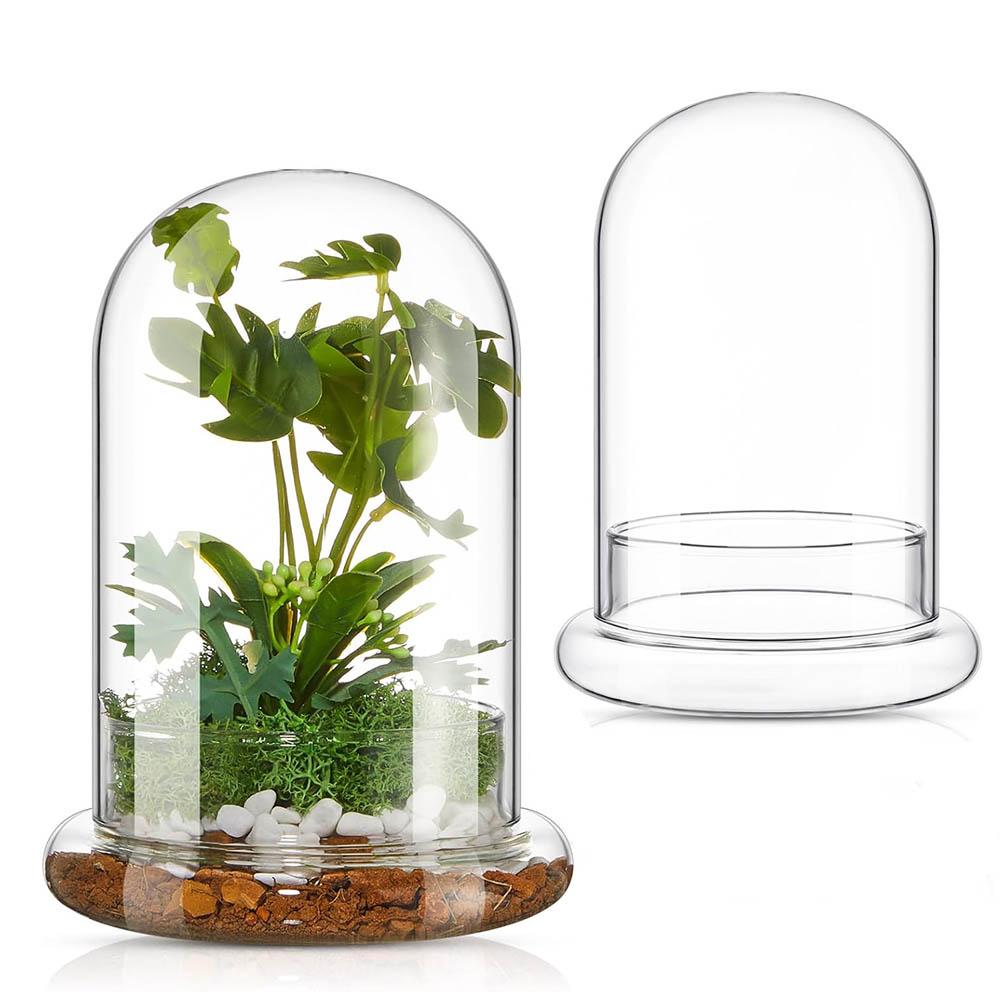 Cupola di Vetro con Foro per l'Aria Campana di Vetro a Cloche con Base Espositore da Tavolo per la Casa Contenitore Terrario Trasparente per Piante, Terrario