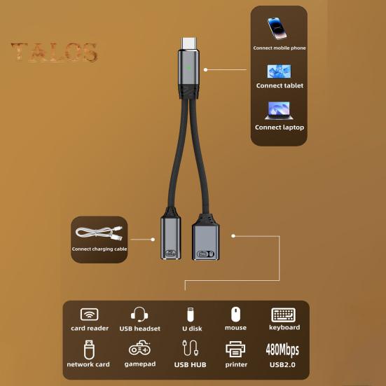 USB-C OTG Lade- und Datenadapterkabel 2-in-1 100 W PD Typ C auf USB 2.0 Konverter Schnelle Ladung und 5 Gbit/s Datenübertragung Nylon geflochten Überspannung