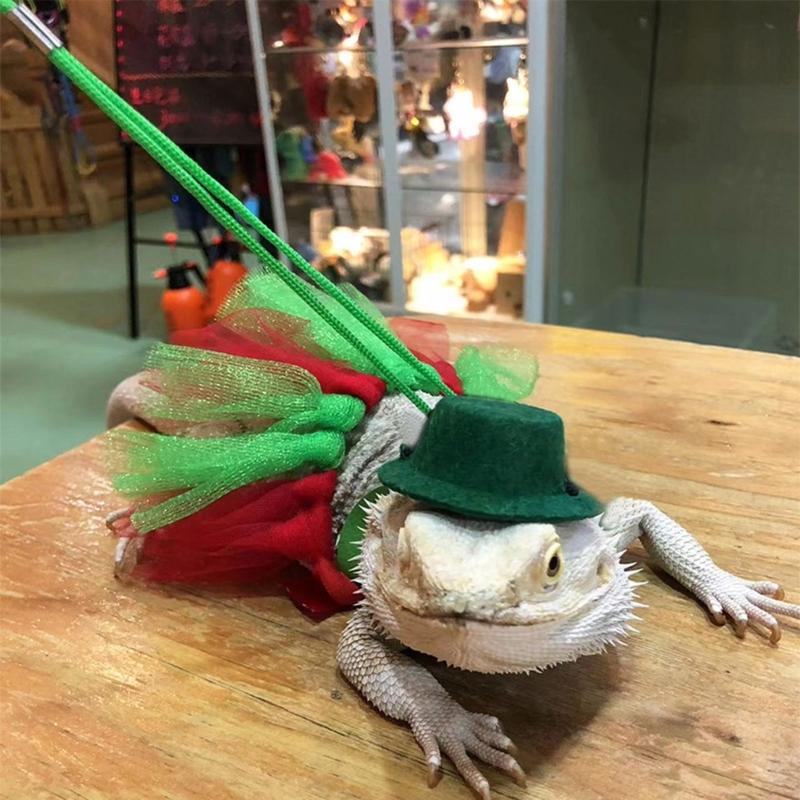 Bearded Dragon Photo Props Dress Up Costume Pet Tutu Dress+ Headdress+Lead