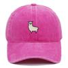 Vintage Adjustable Unisex Vintage Cap for Outdoor Hiking and Mountaineering