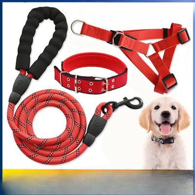 Hunde – Hundehalsbänder & Leinen