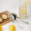 Manual Lemon Squeezer 8 Inch Stainless Steel Citrus Juicer Handheld Press Kitchen Bar Home Use