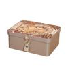 Large Capacity Locking Storage Trunk High Quality Jewelry Storage Metal Box Tinplate Box  Gift