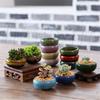 Vaso de Planta Suculenta Fofo Esmalte Craquelê Vaso de Cerâmica para Flores Decoração de Vaso de Flores