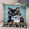Cute Pet Cartoon Animal Cushion Retro Coffee Cat Pillowcase Decoration Sofa Home Car Pillowcase
