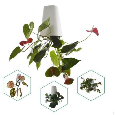 Vaso da Fiori Regalo Autoassorbente Decorativo Cesto Pensile Capovolto per Scrivania Casa